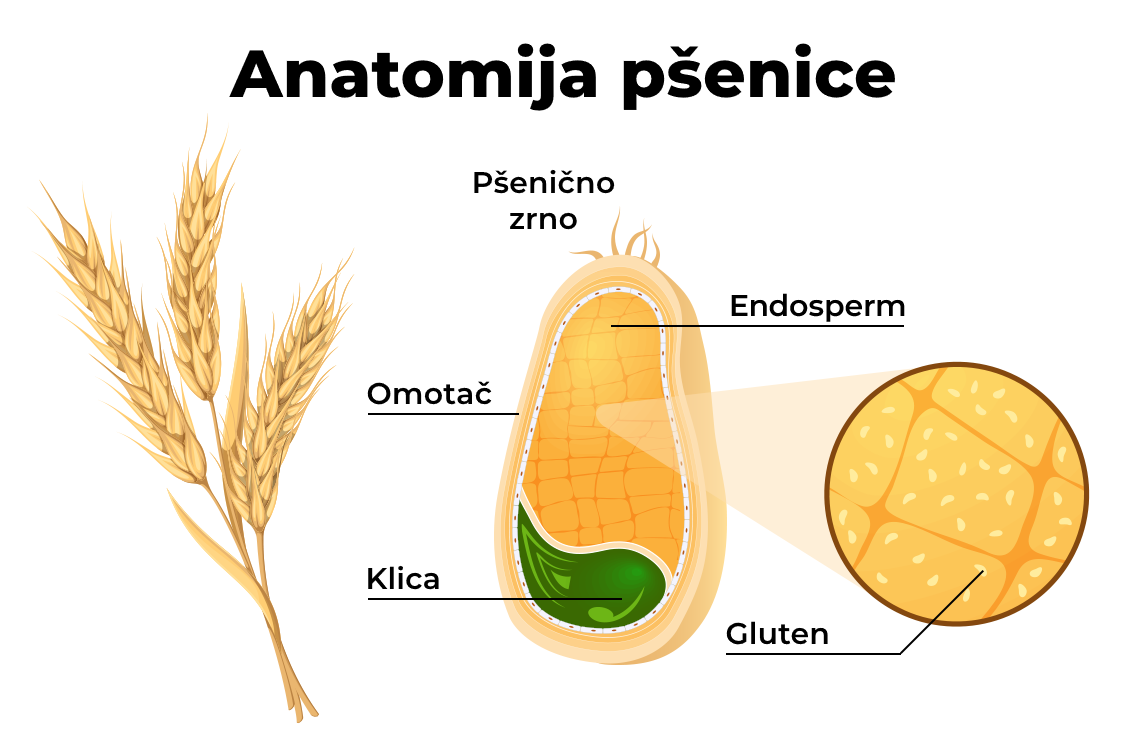 Gde se gluten može naći?