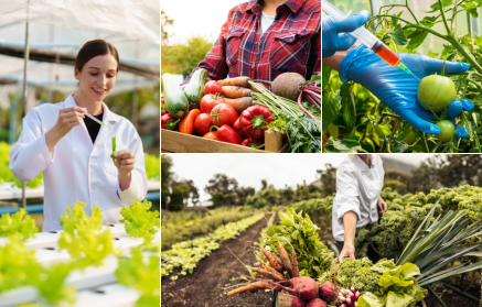 GMO hrana: spasenje ili pretnja?