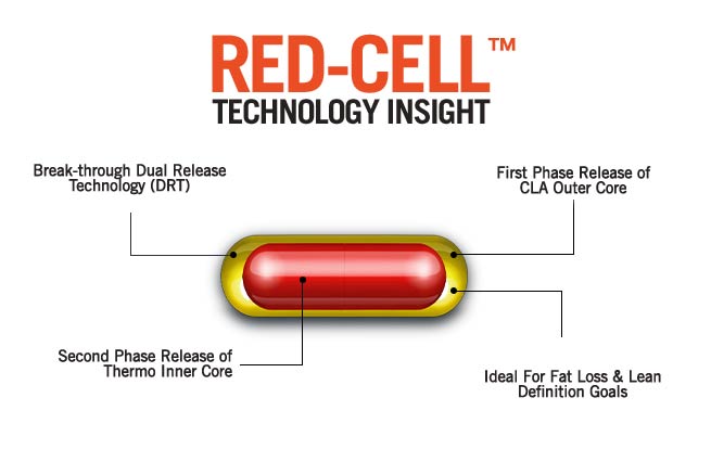 Red-Cell™ - The Protein Works